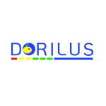 Dorilus